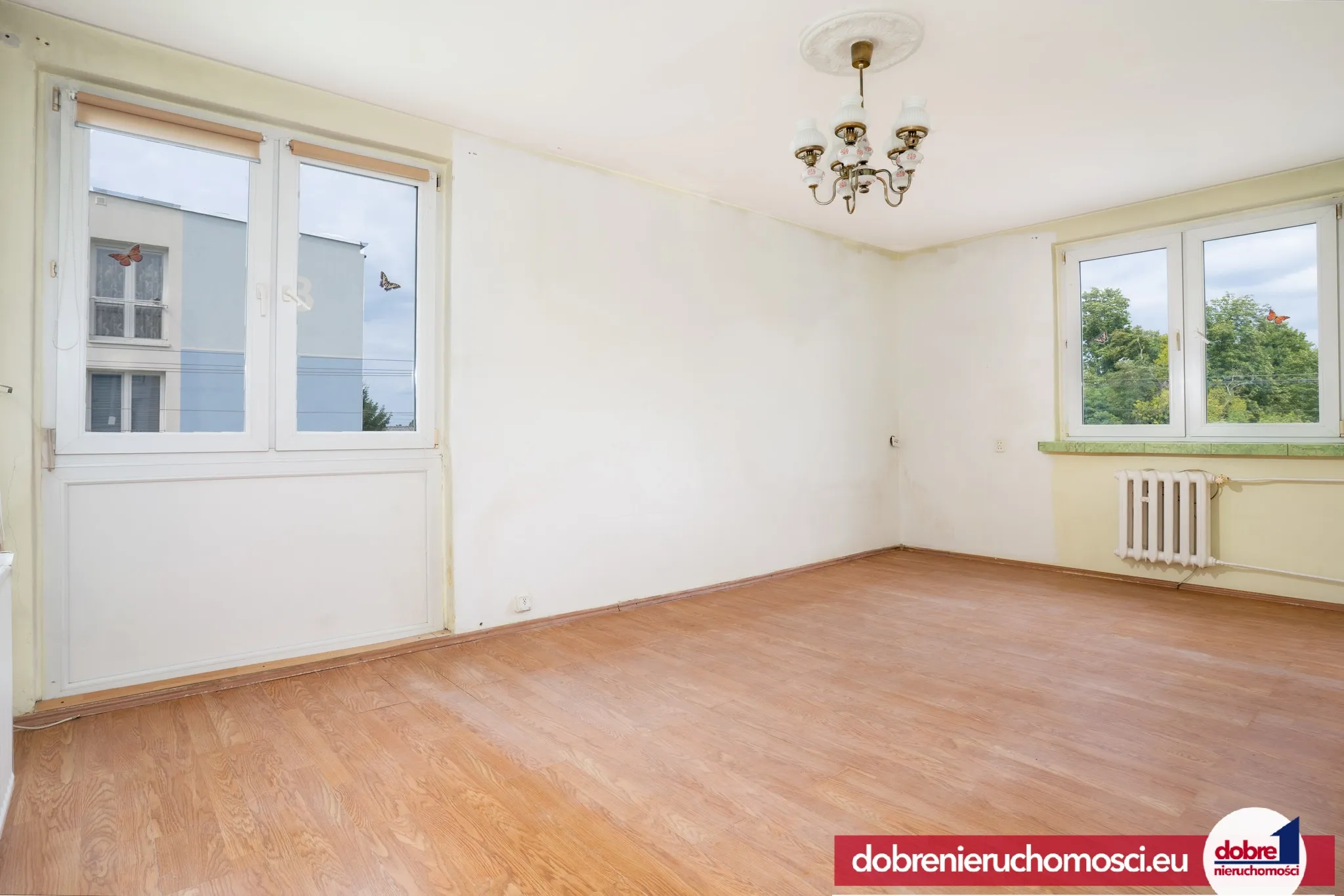 Zdjęcie 1: Złotniki