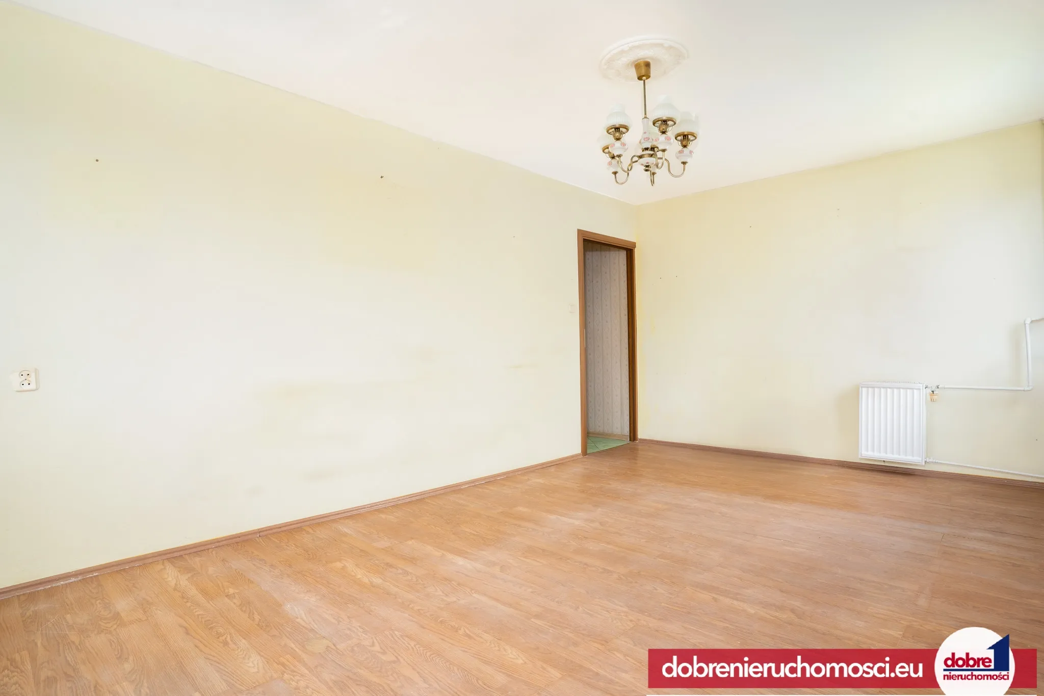 Zdjęcie 2: Złotniki