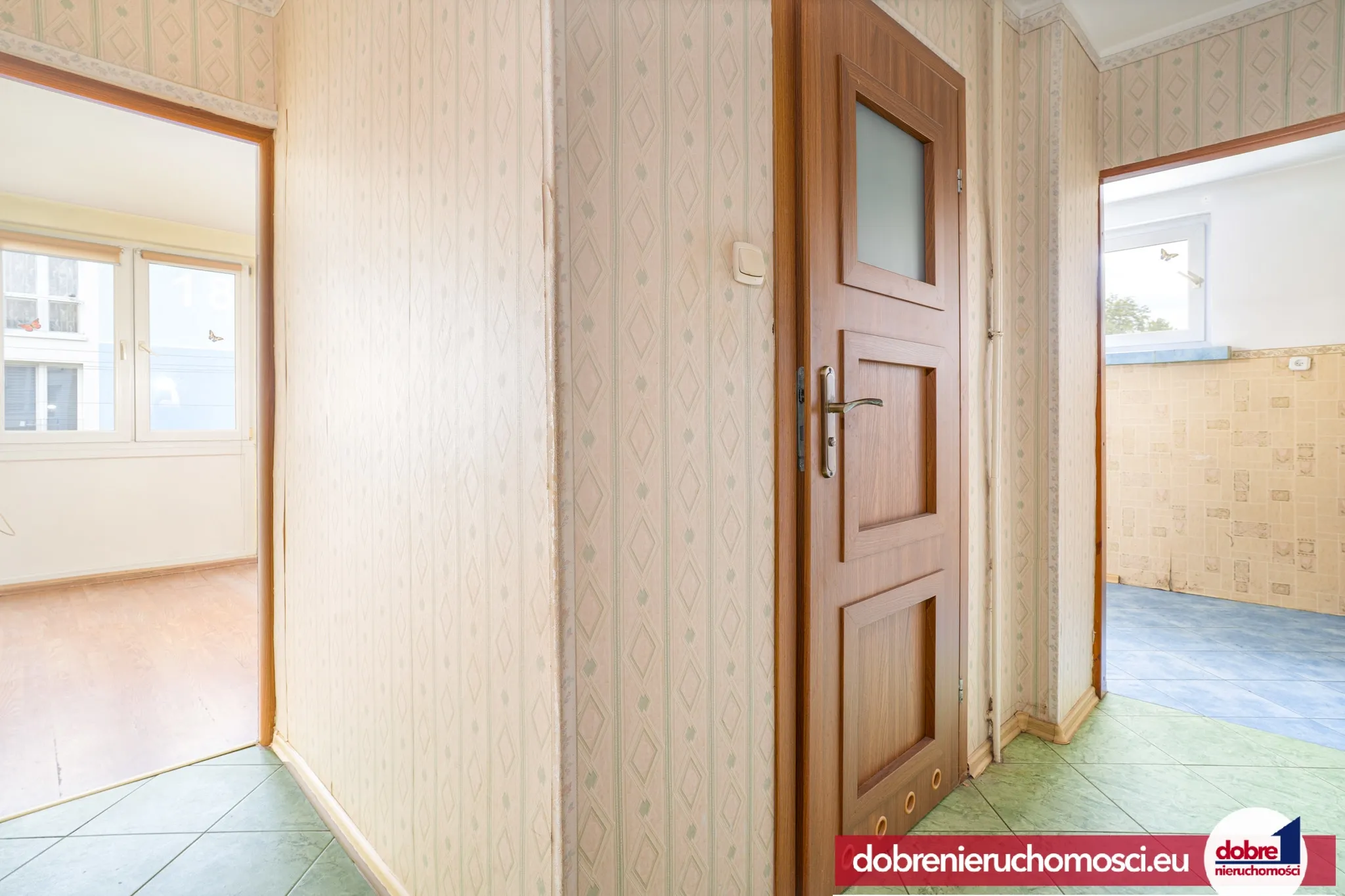 Zdjęcie 3: Złotniki