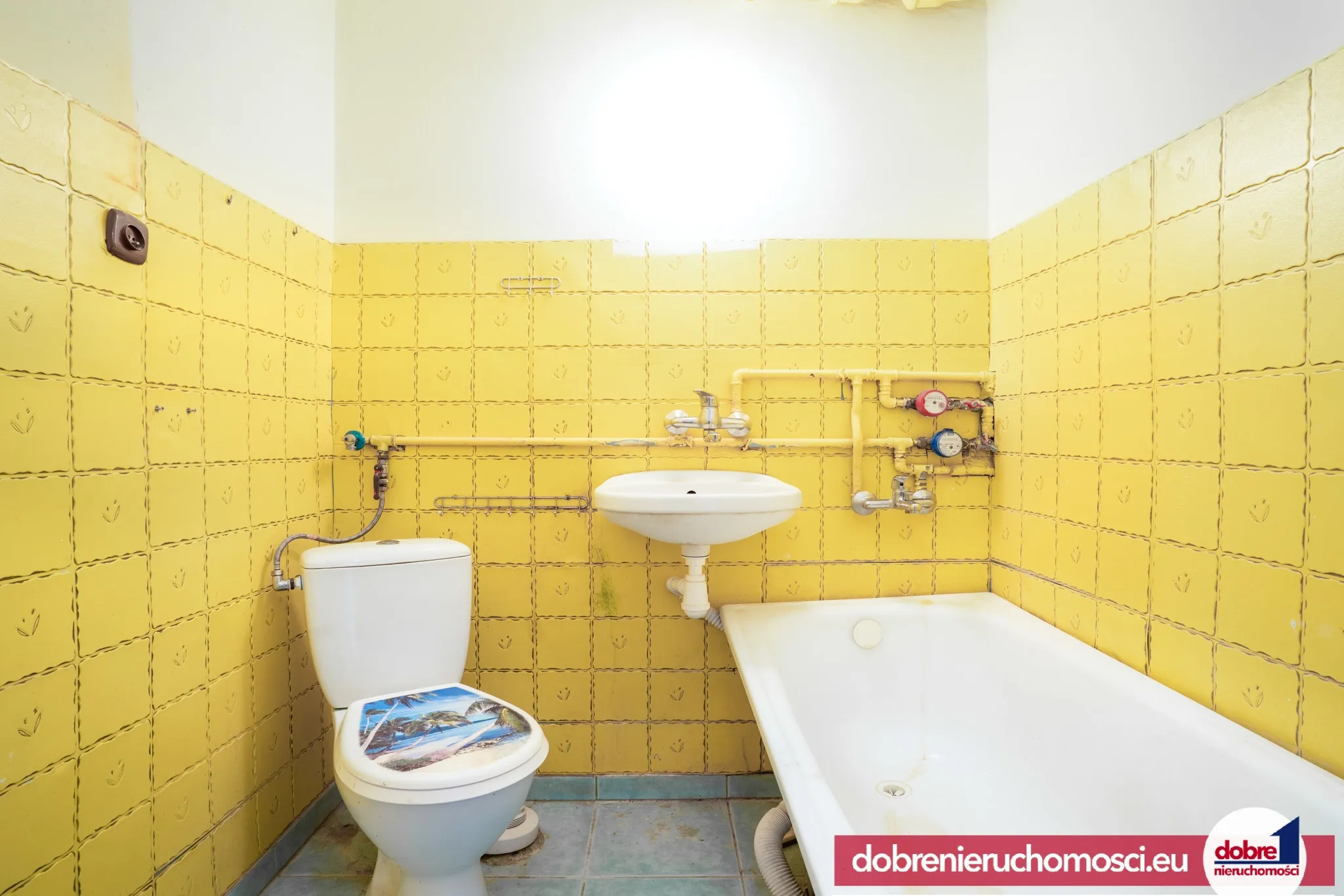 Zdjęcie 5: Złotniki