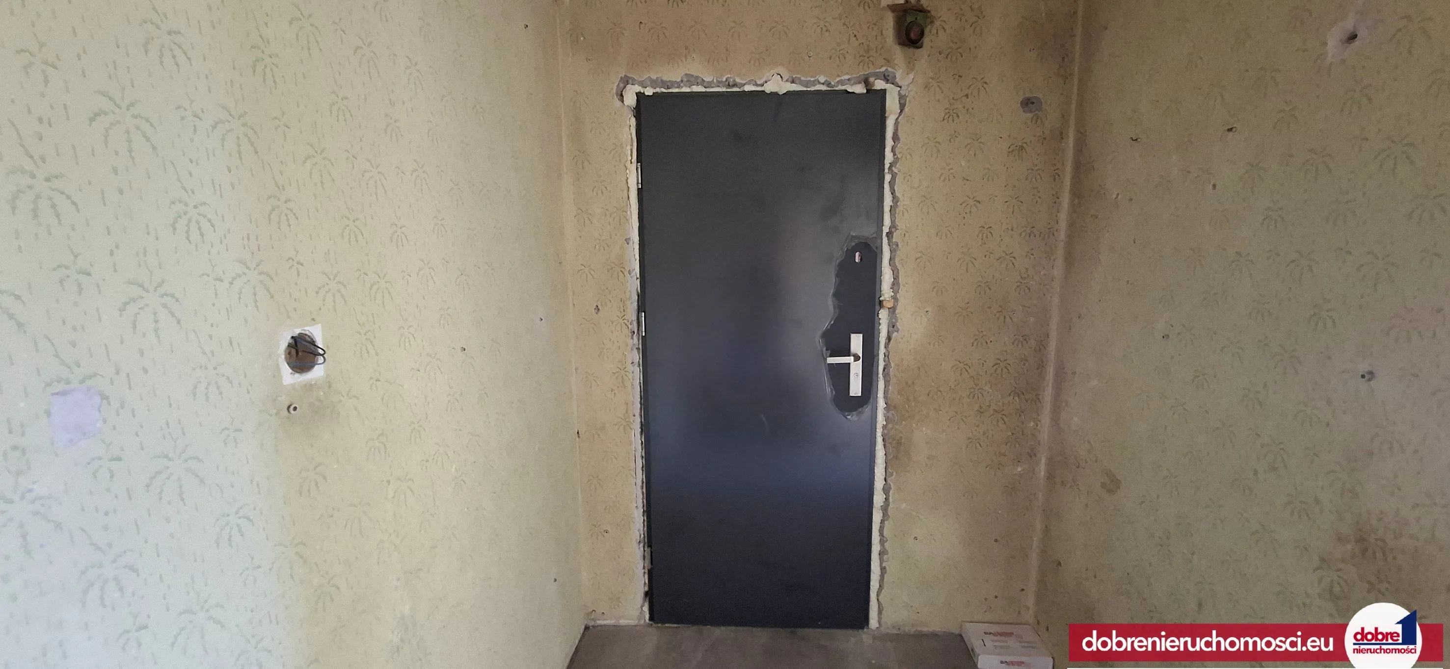 Zdjęcie 12: Tuchola