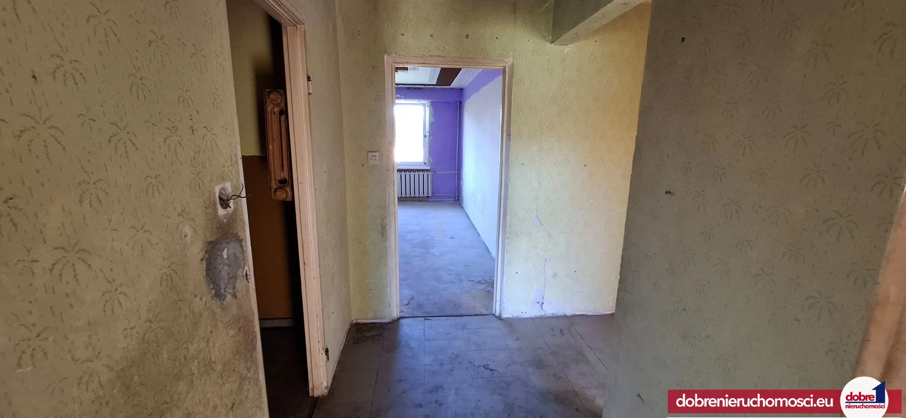 Zdjęcie 17: Tuchola