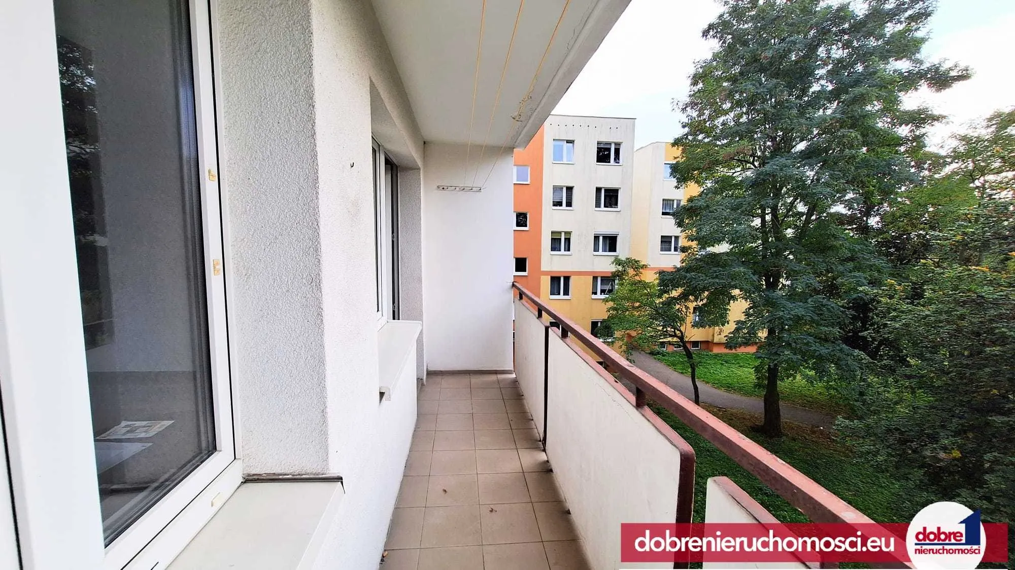 Zdjęcie 15: Wzgórze Wolności