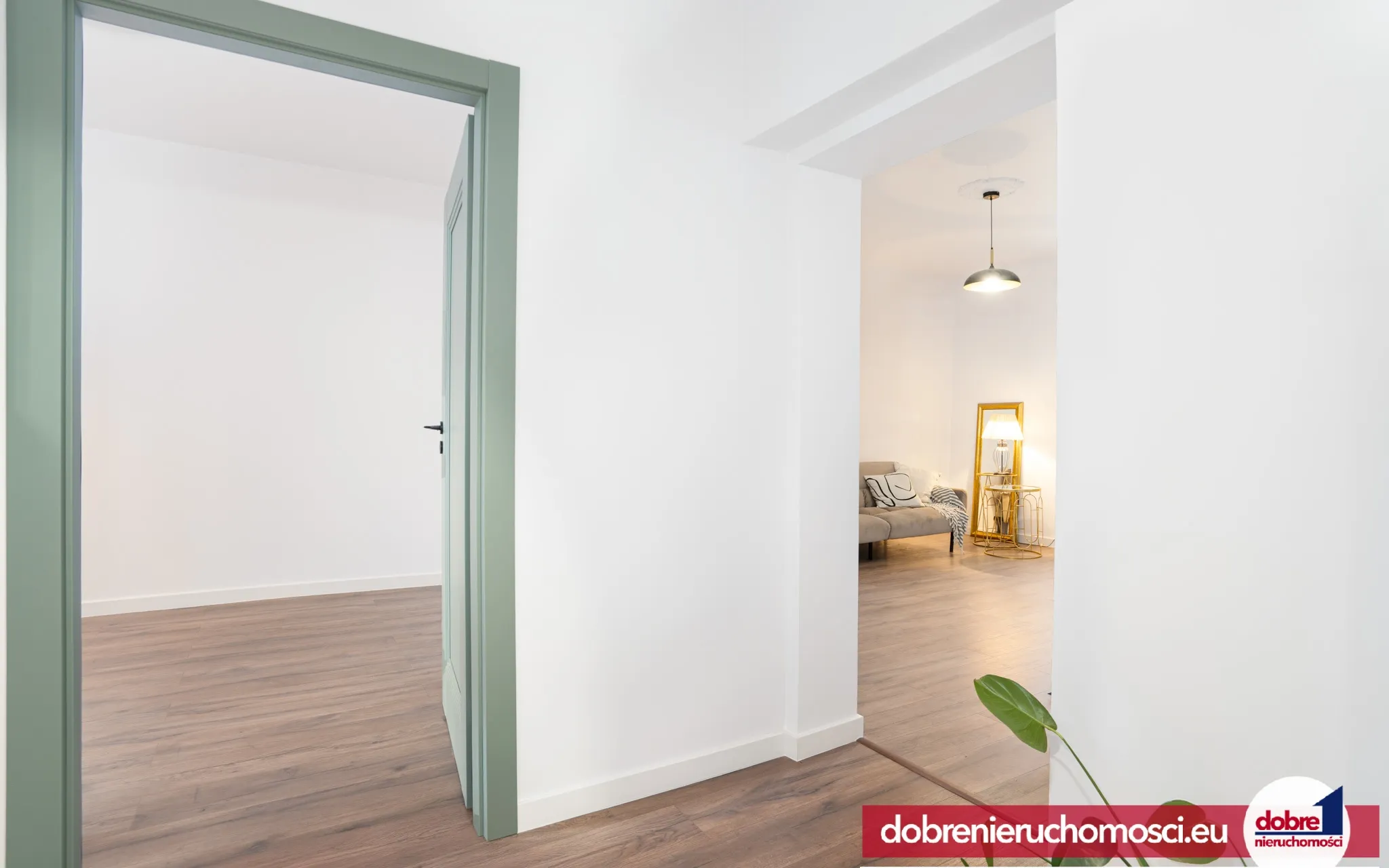 Zdjęcie 15: Bielawy