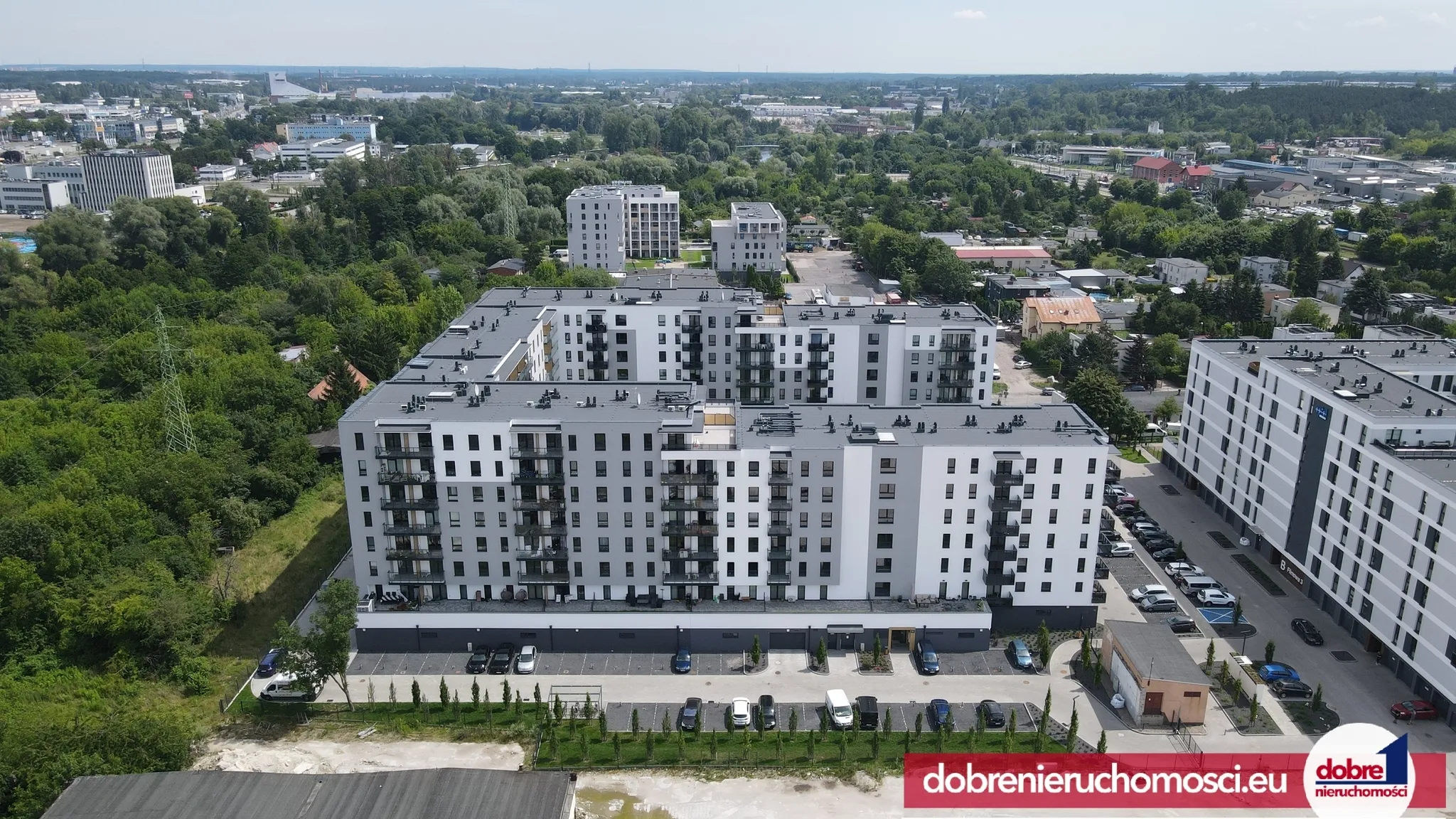 Zdjęcie 14: Kapuściska