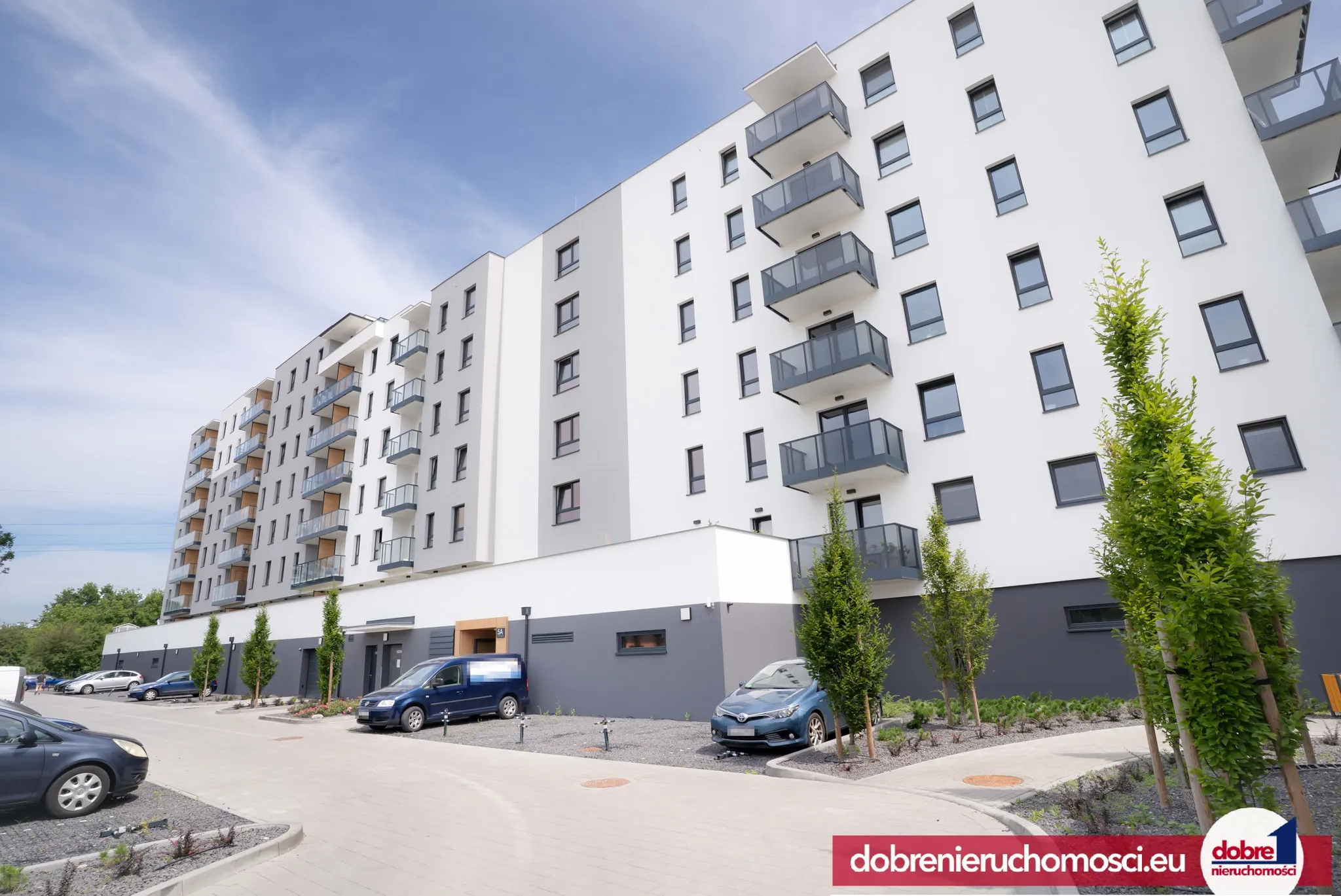 Zdjęcie 12: Kapuściska