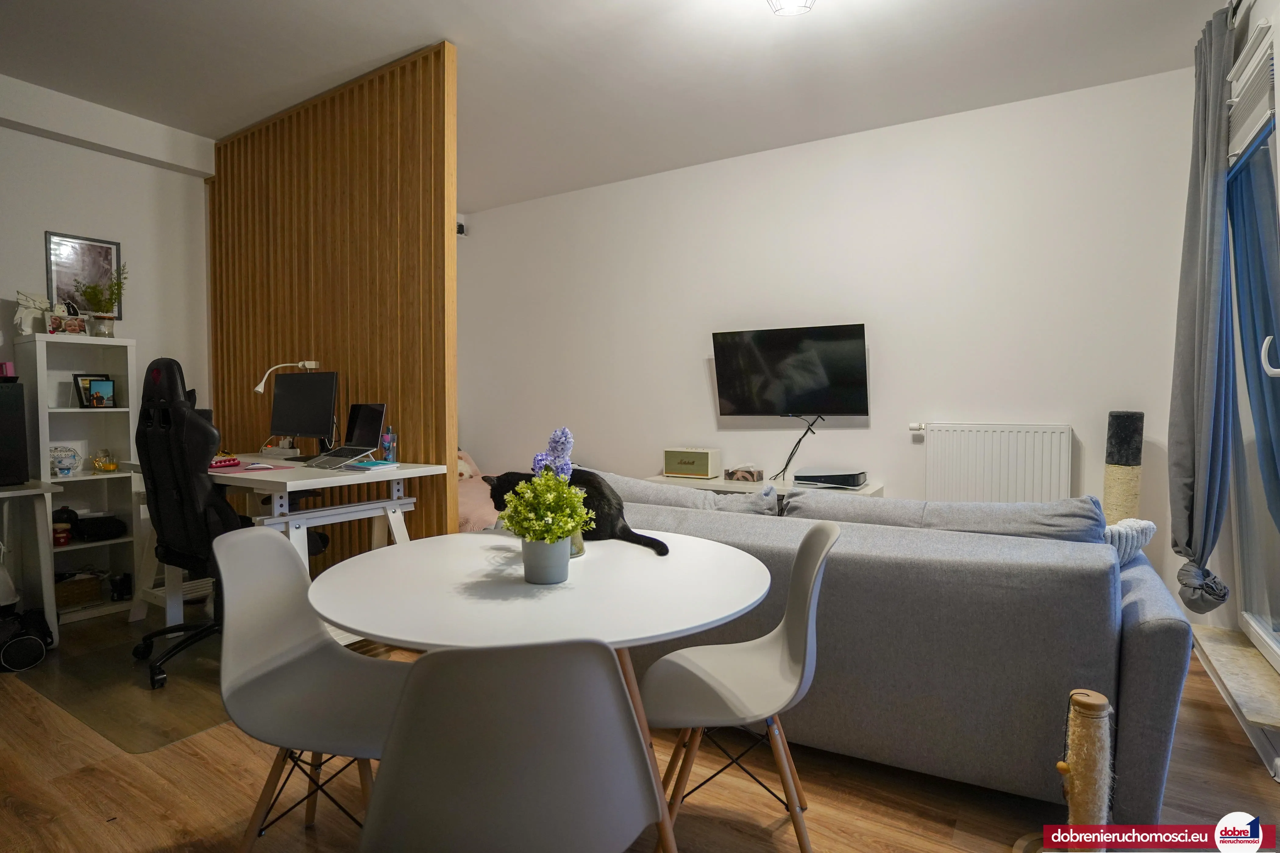 Zdjęcie 2: Bocianowo