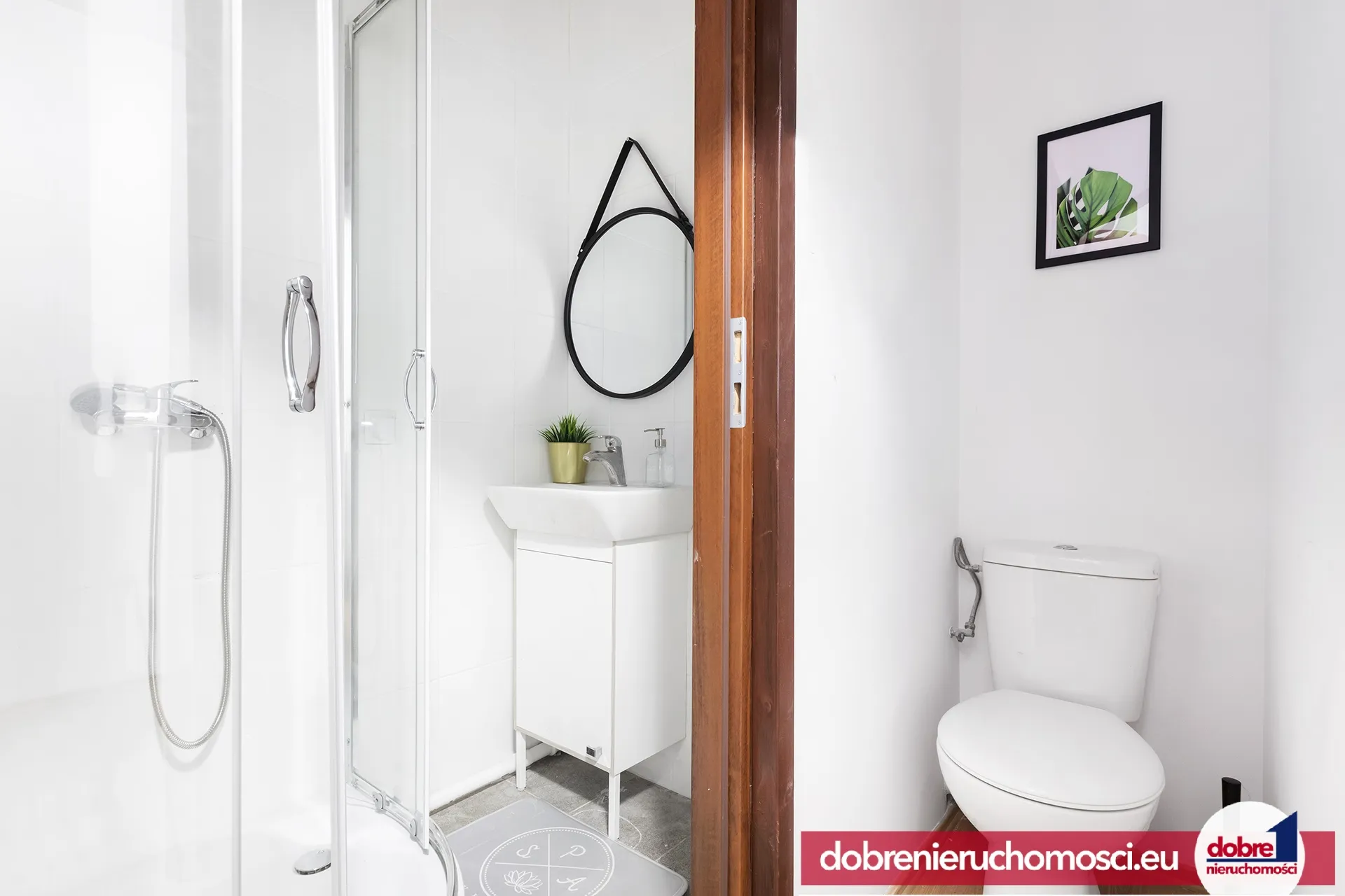 Zdjęcie 11: Bartodzieje