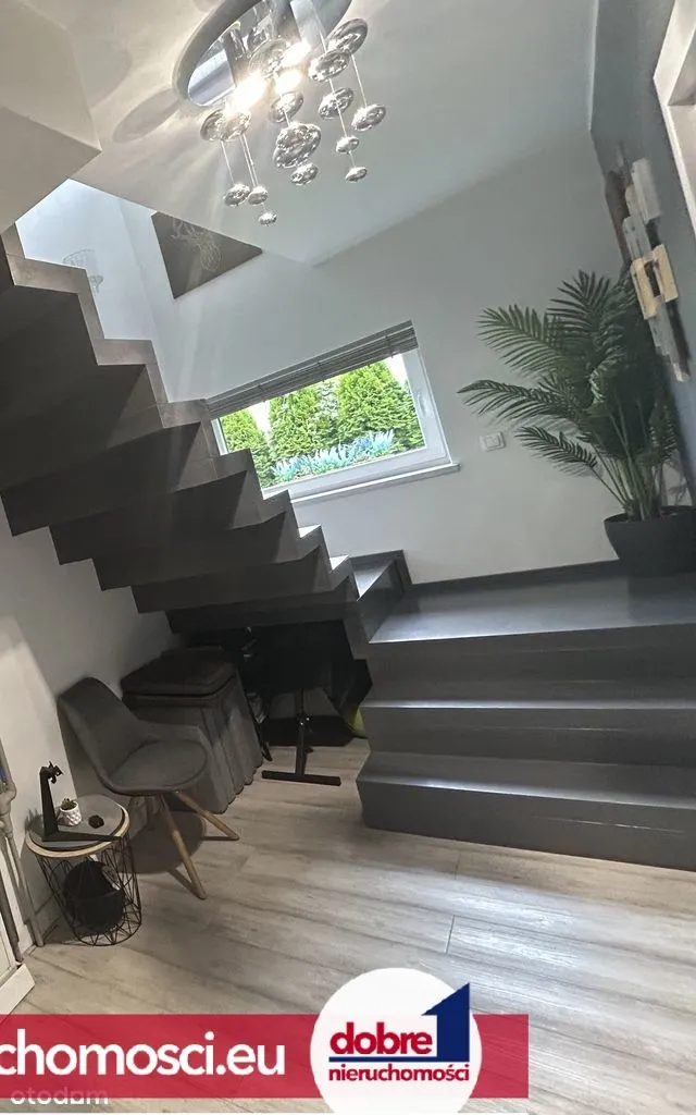 Zdjęcie 15: Miedzyń