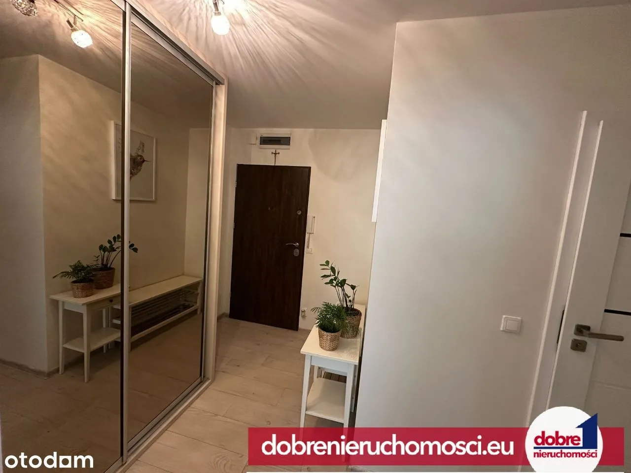 Zdjęcie 6: Wzgórze Wolności